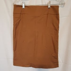 The Limited skirt